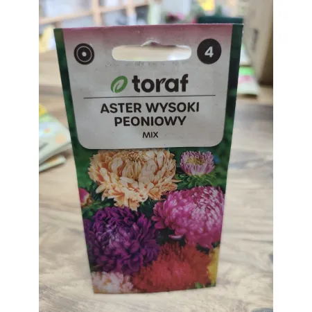 Aster wysoki peoniowy MIX